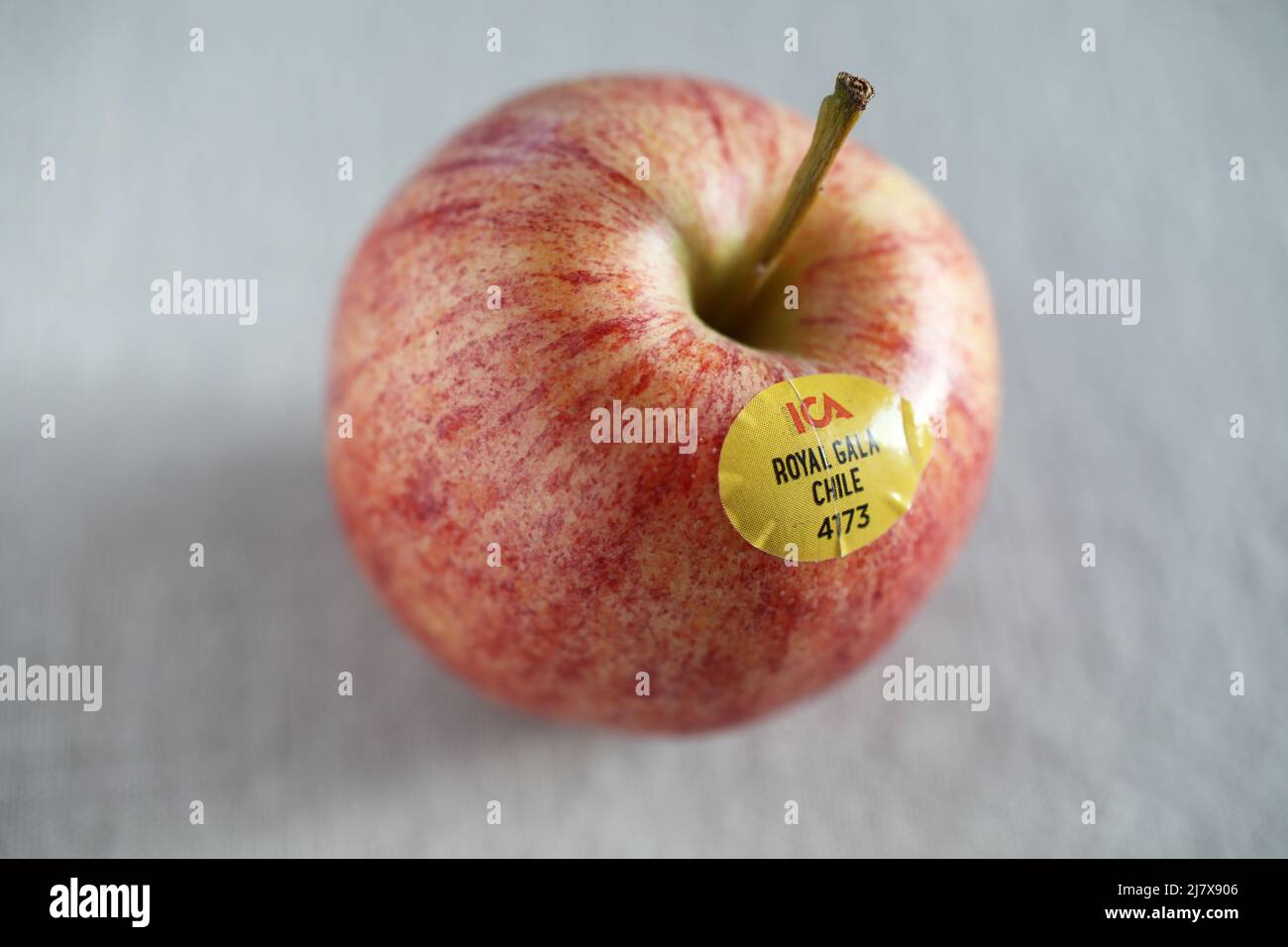 Ein Royal Gala Apfel aus Chile. Stockfoto