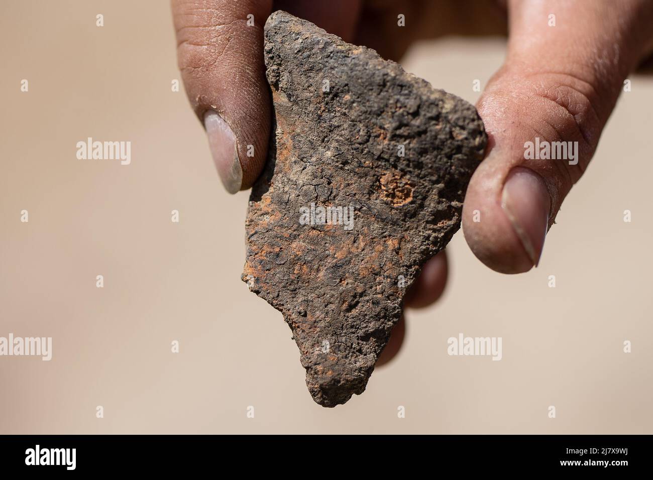 11. Mai 2022, Niedersachsen, Göttingen: Ein Grabungsarbeiter zeigt an der archäologischen Stätte einen Scherben aus der neolithischen Glockenbecherkultur. Der Stromnetzbetreiber TenneT hat in Göttingen bei Bauingenieurarbeiten eine Siedlung und eine Grabstätte aus der Jungsteinzeit entdeckt. Foto: Swen Pförtner/dpa Stockfoto