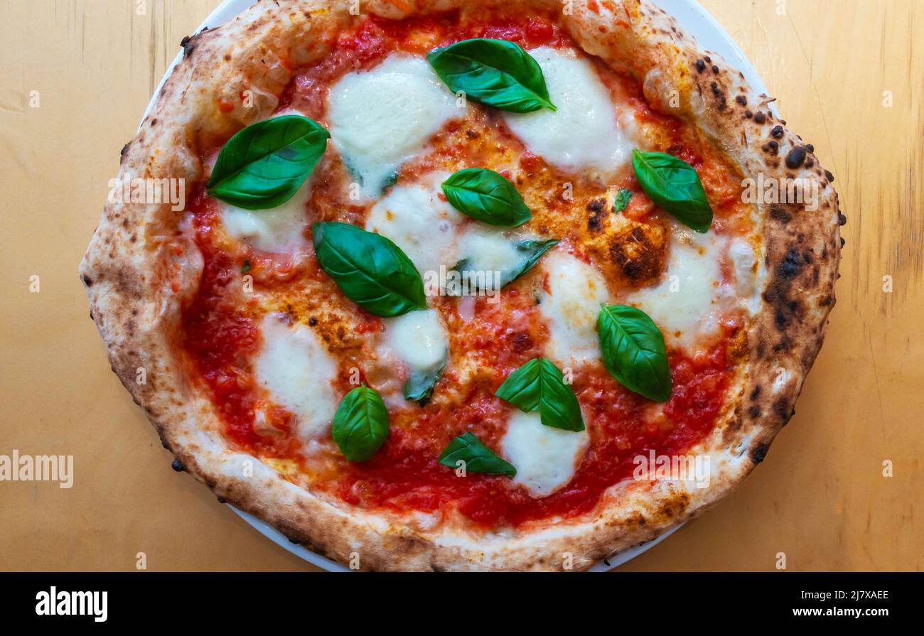 Nahaufnahme einer Pizza Margherita mit Tomatensauce, Büffelmozzarella und frischem Basilikum - die Farben der italienischen Flagge Stockfoto