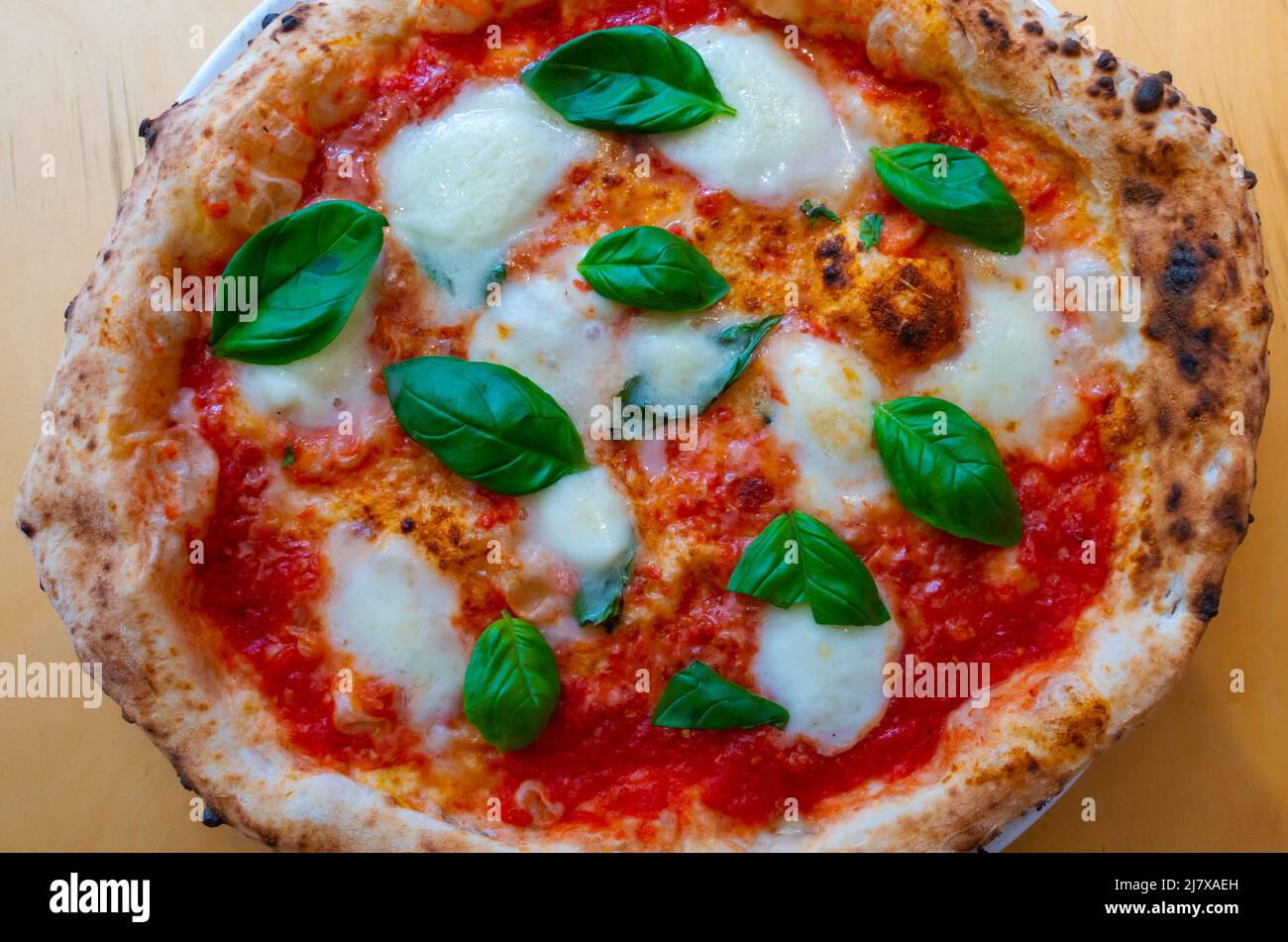 Nahaufnahme einer Pizza Margherita mit Tomatensauce, Büffelmozzarella und frischem Basilikum - die Farben der italienischen Flagge Stockfoto