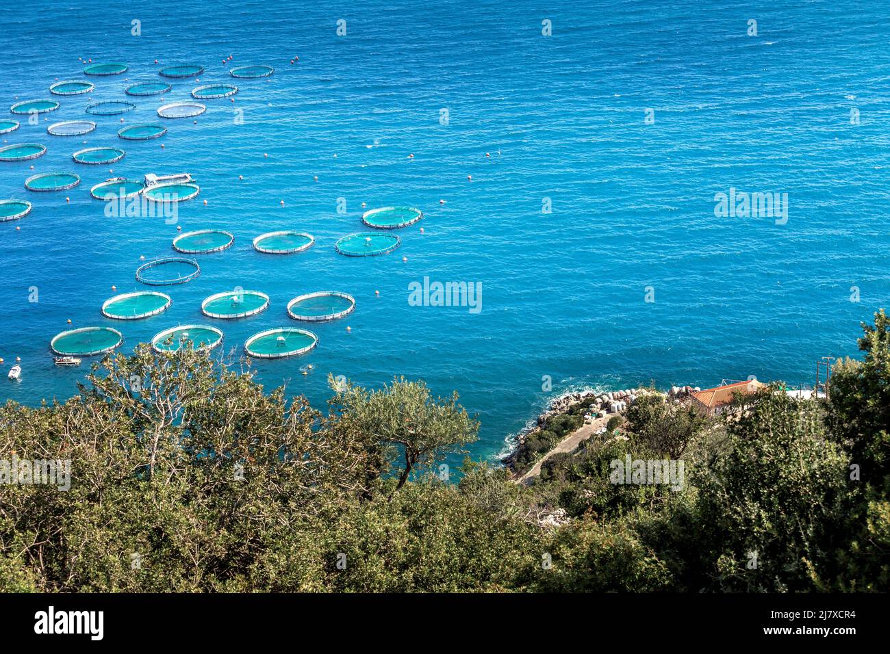 Fischmeerfarm mit schwimmenden Kreiskäfigen und Küste in Griechenland, Luftbild Stockfoto