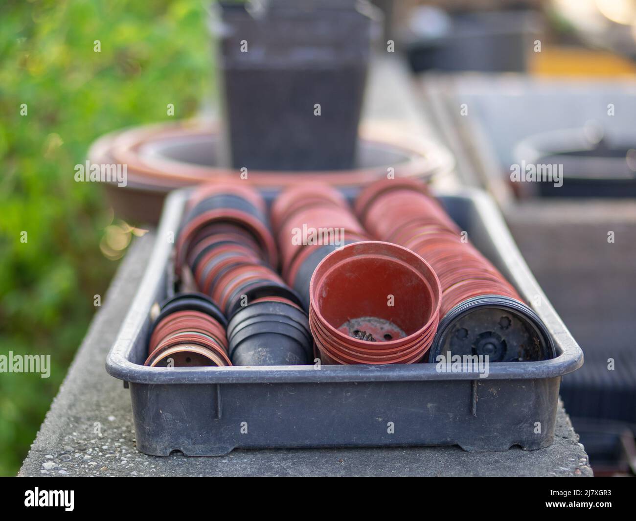 Keramik Blumen Töpfe für Pflanzen in verschiedenen Designs und Größen auf dem Display zum Verkauf in einem Gärtner-Shop Stockfoto