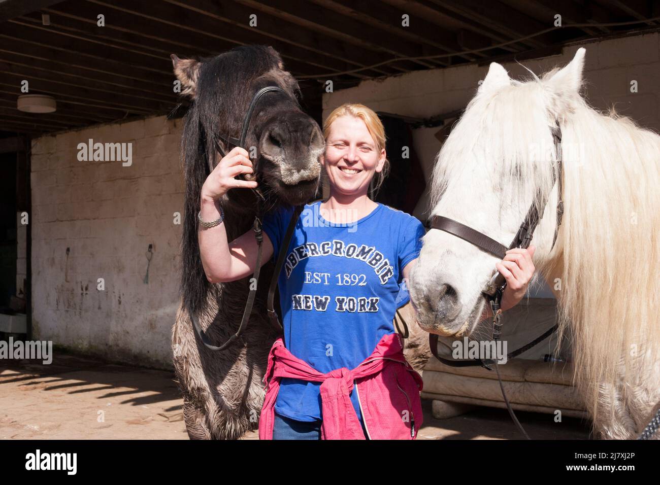 Pony Trekking, Shandon, Argyll, Schottland Stockfoto