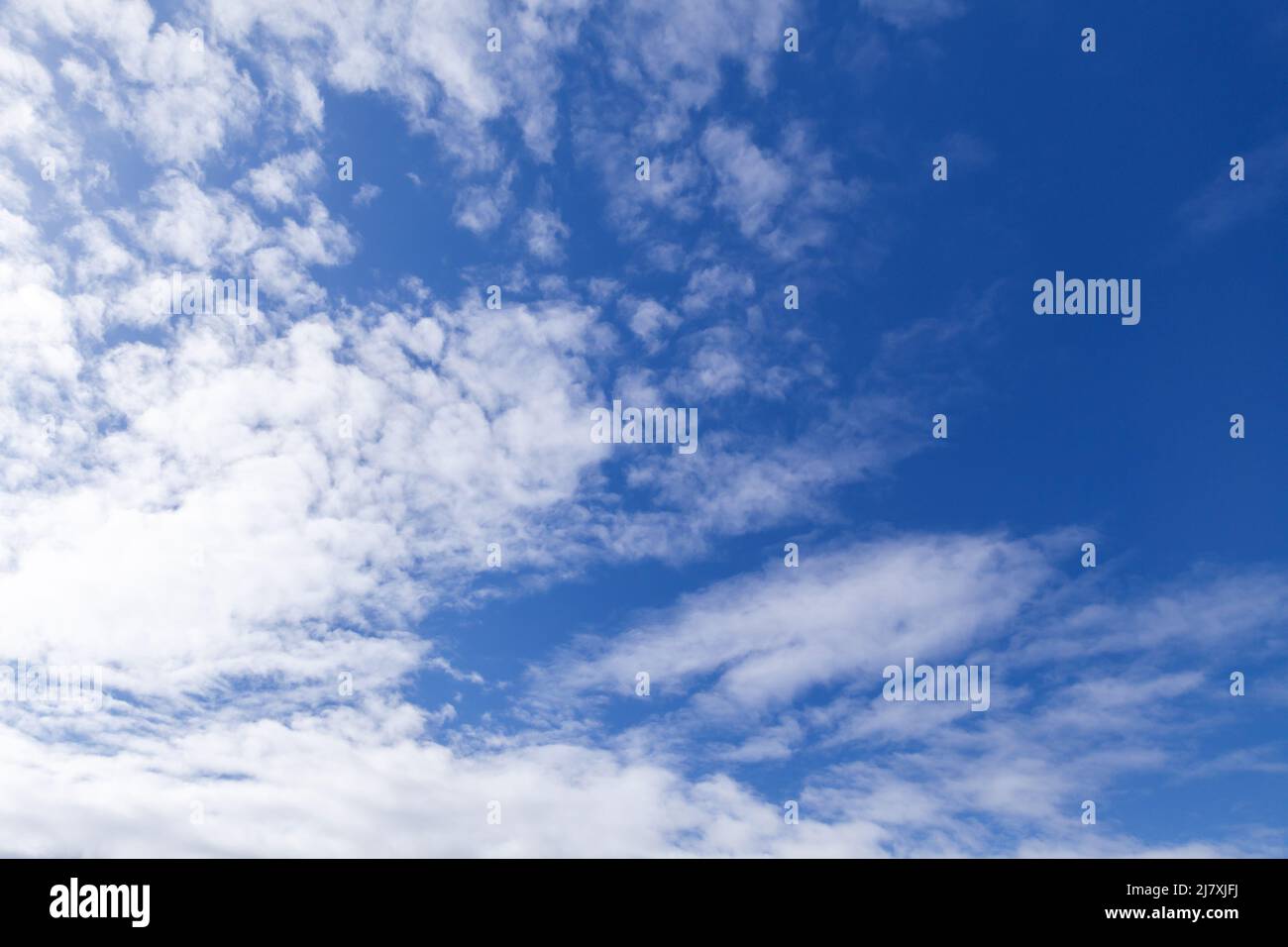 Blauer Himmel mit weißen Wolken am Tag. Cumulus und Altocumulus Arten von Wolken. Natürlicher Hintergrund Stockfoto