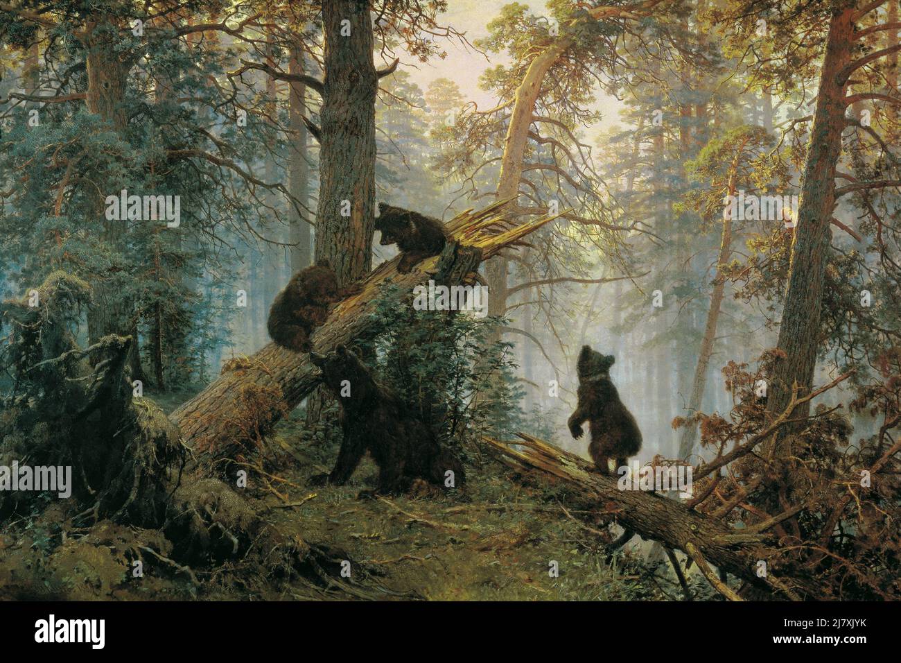 Bären im Wald Am Morgen Stockfoto