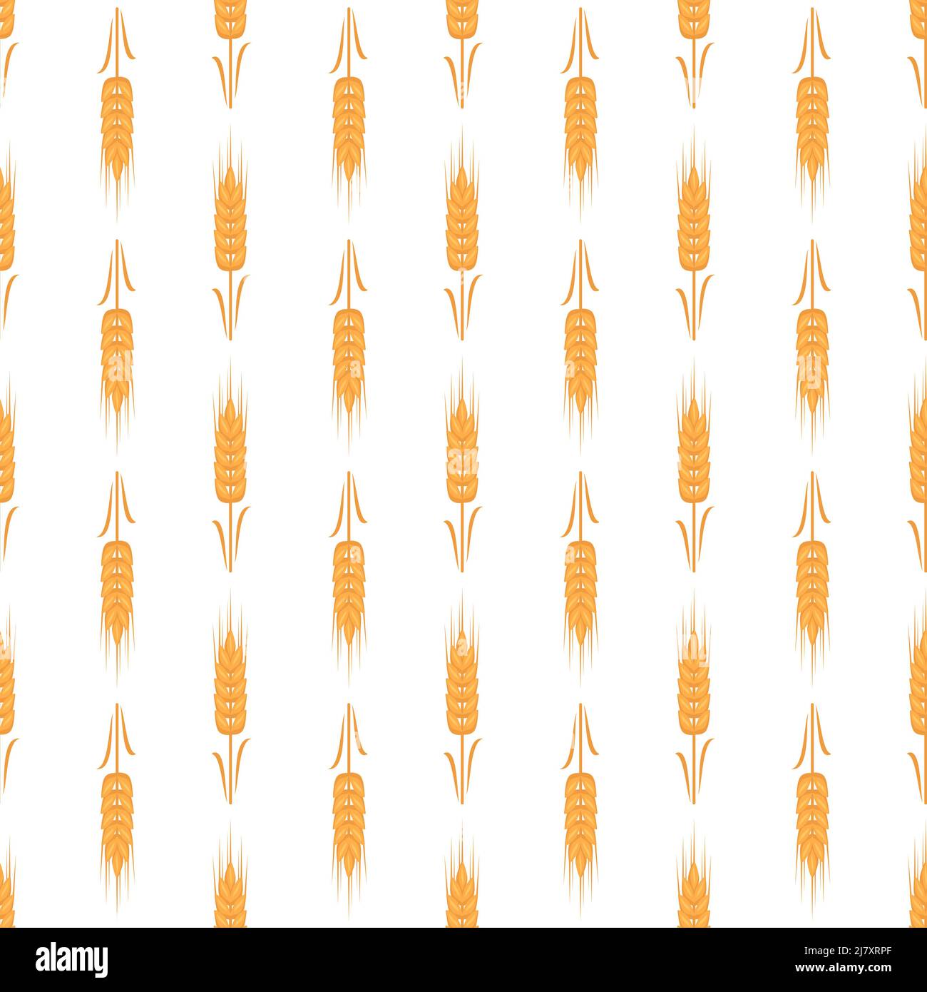 Nahtloses Muster mit goldenem Weizenohr auf weißem Hintergrund. Druck von Körnern zur Herstellung von Mehl, Brot und anderen Lebensmitteln. Vektorgrafik flach Stock Vektor