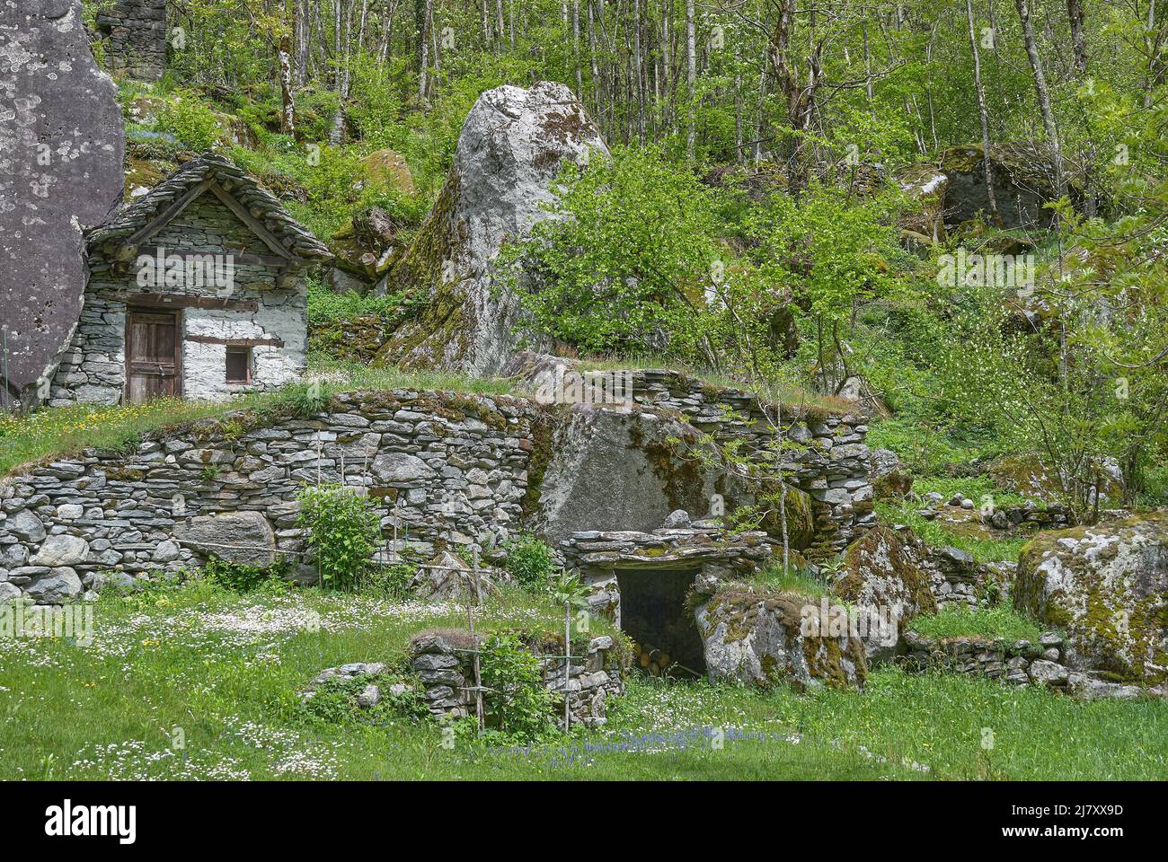 Traditionelles Leben in Val Bavona, Kanton Tessin, Schweiz Stockfoto