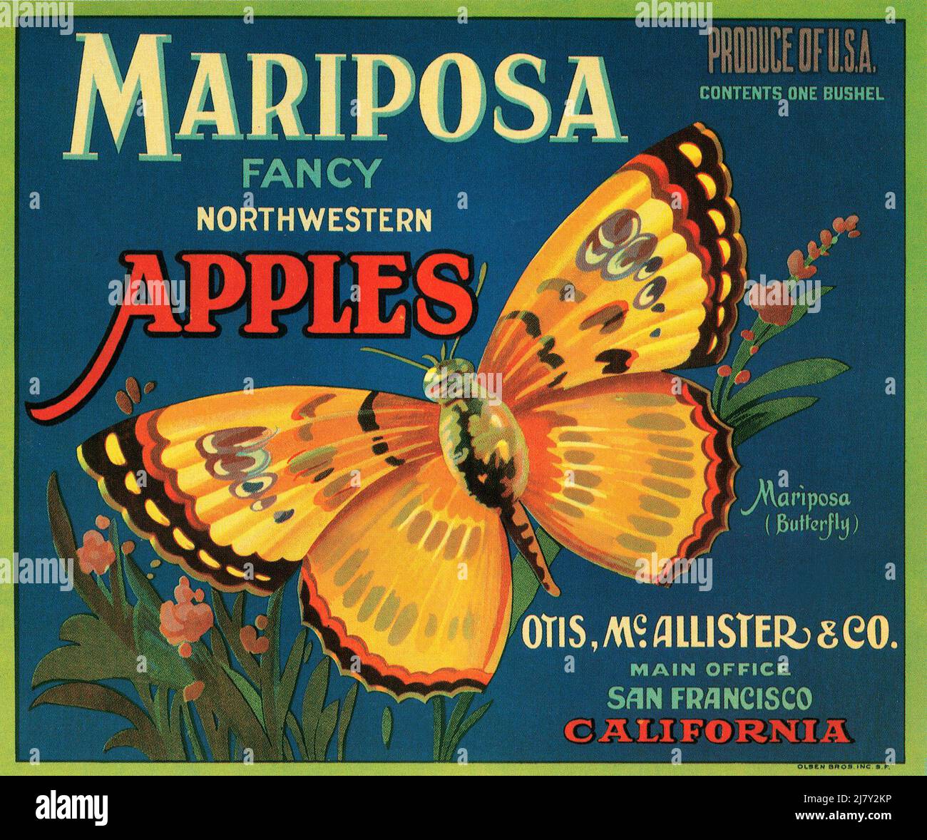 Äpfel Der Marke Mariposa Stockfoto