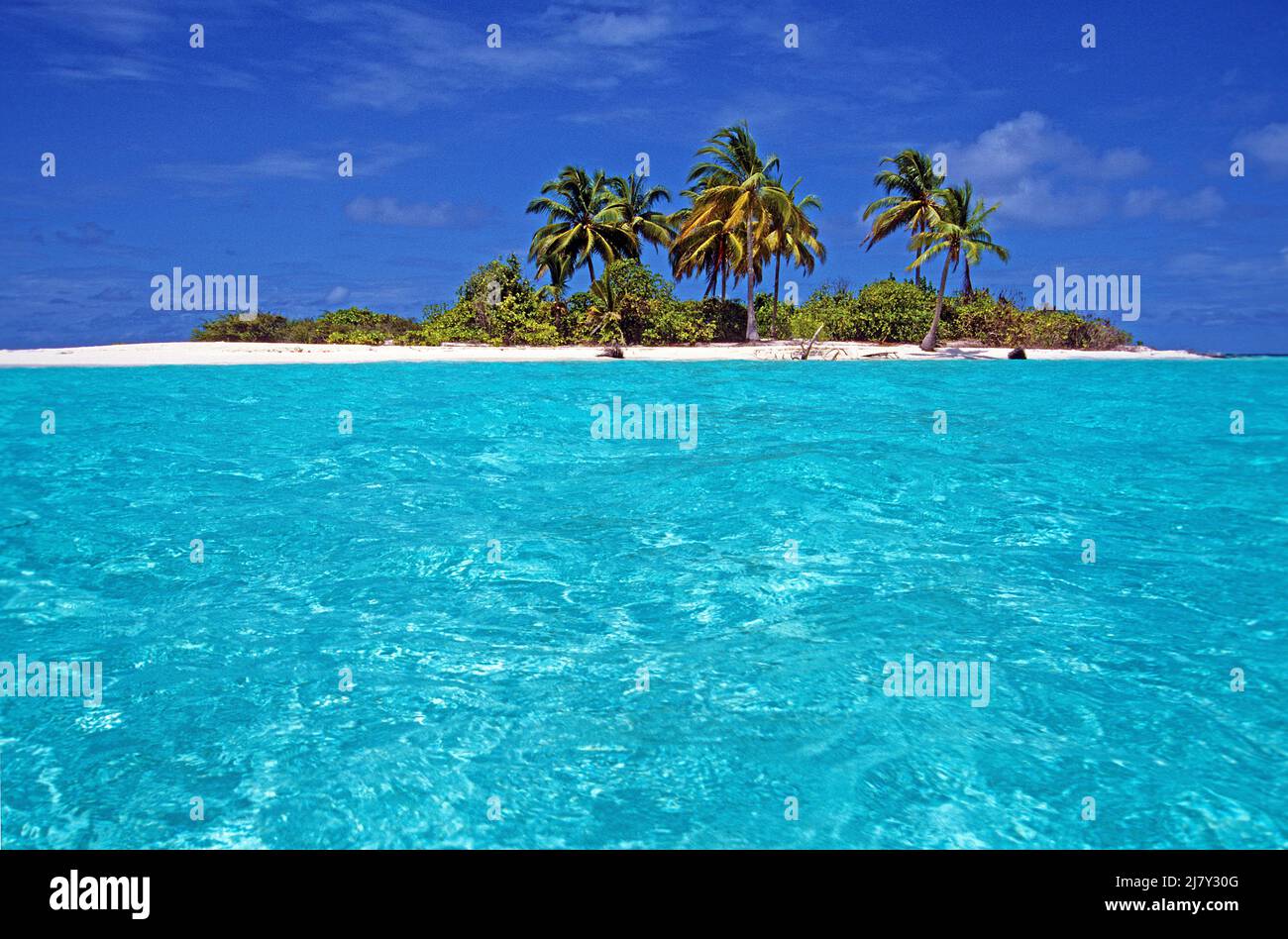 Unbewohnte kleine maledivische Insel mit Palmen, Strand und Lagune, Malediven, Indischer Ozean, Asien Stockfoto