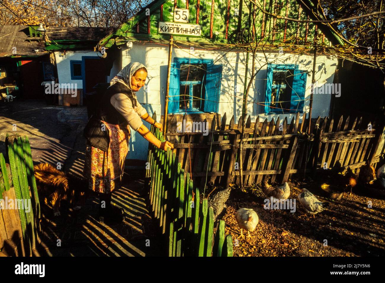 Eine Frau schaut über ihre Hühner in einem Gehege neben ihrem Haus, Donezk, Ukraine, November 1989 Stockfoto