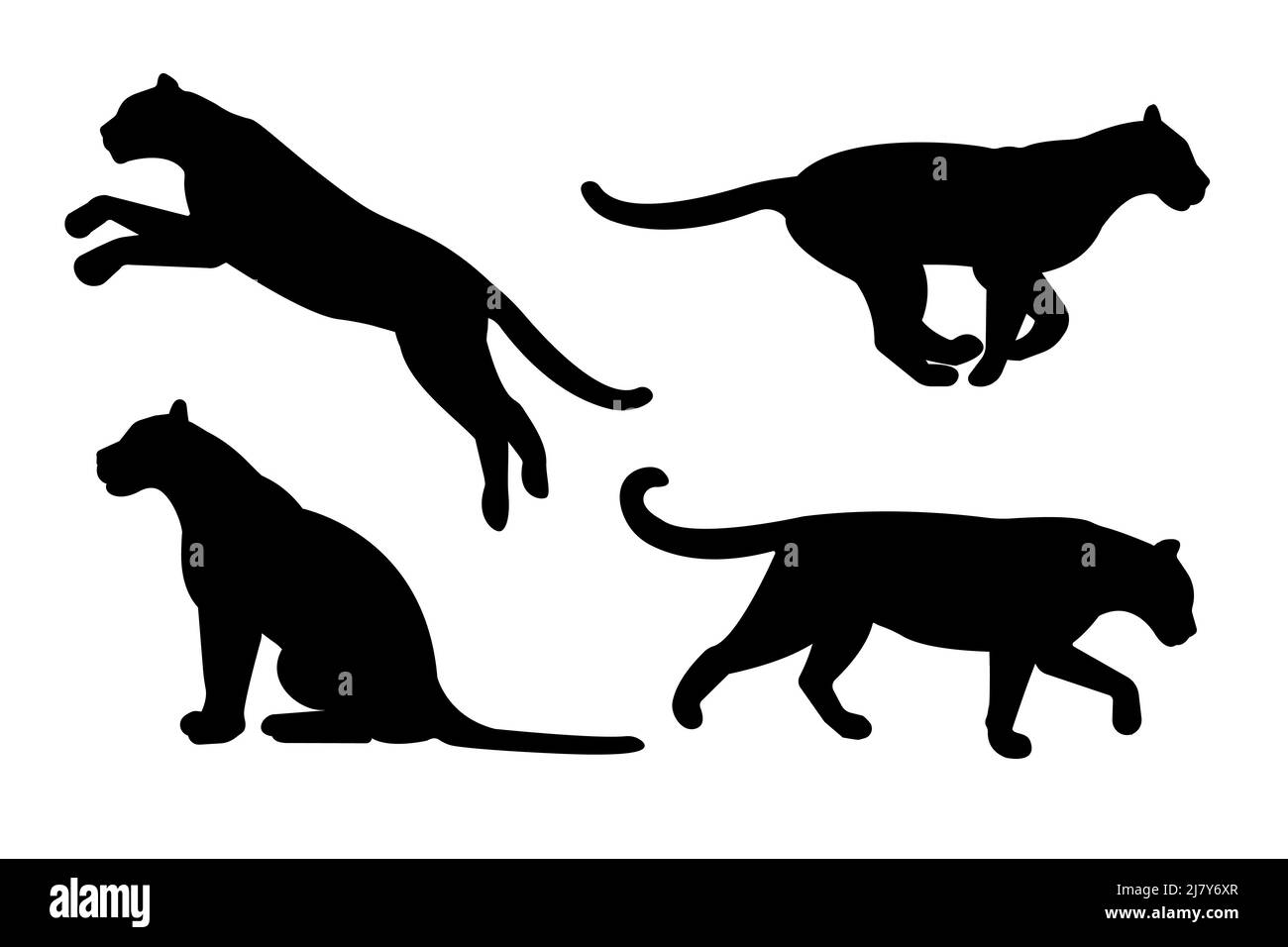 Vektor-Set von flachen Leoparden Silhouette isoliert auf weißem Hintergrund Stock Vektor