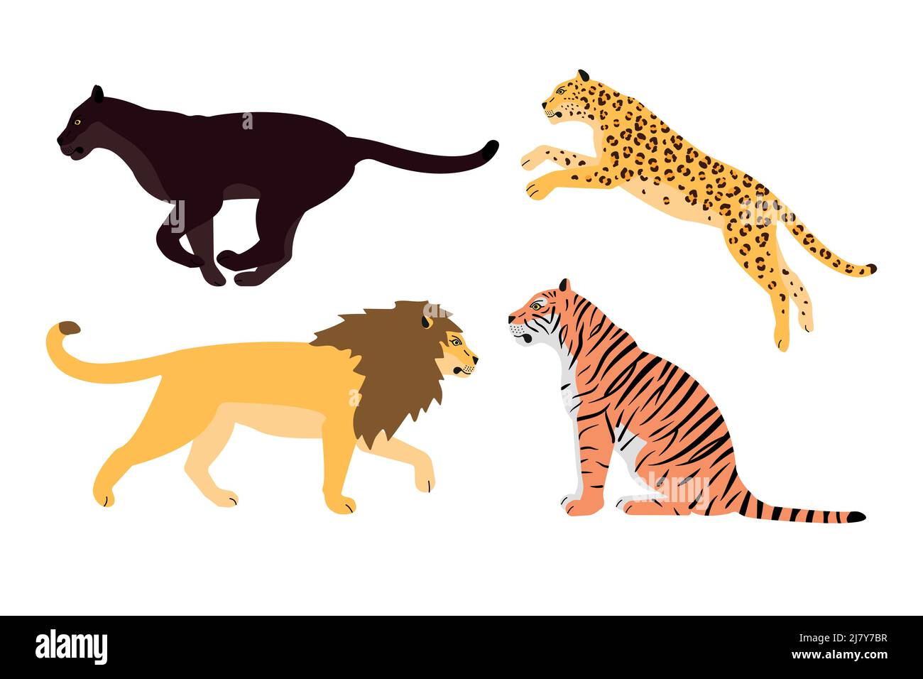 Vektor-Set von flachen wilden großen Katzen isoliert auf weißem Hintergrund Stock Vektor