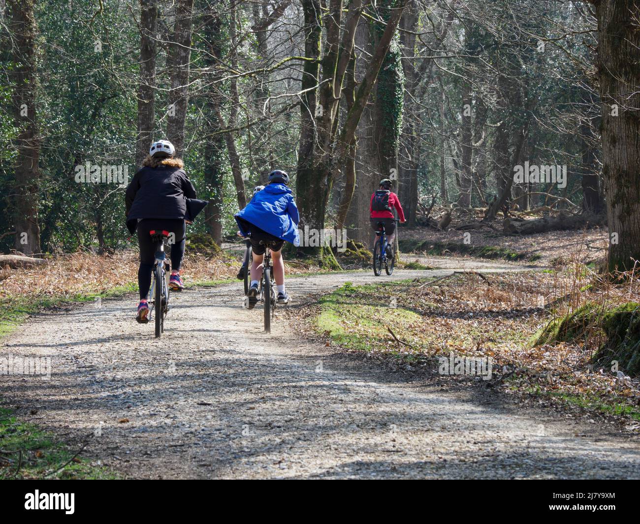 Radfahren mit der Familie im New Forest, Hampshire, Großbritannien Stockfoto