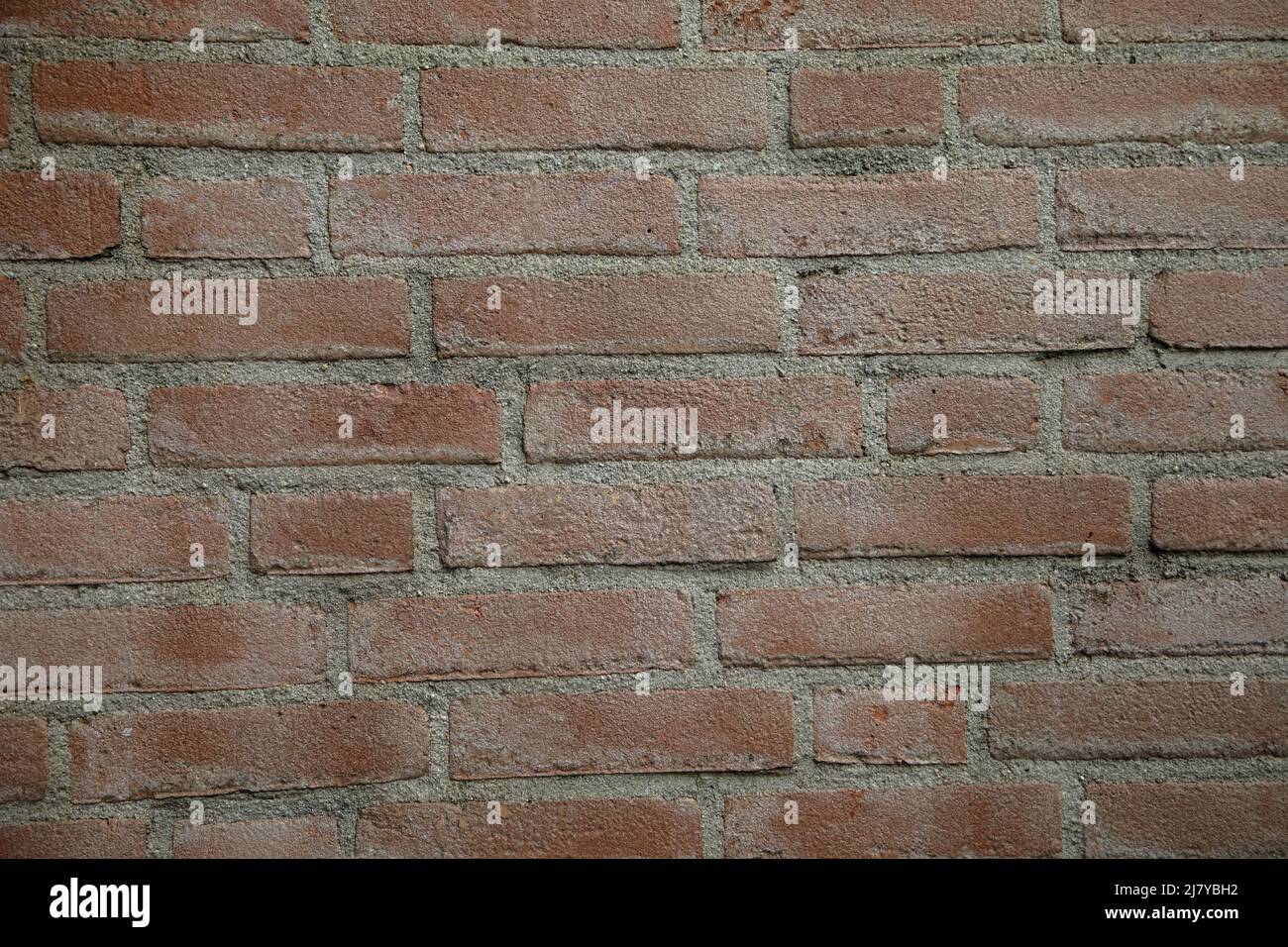 Vollformatbild der alten beigefarbenen Ziegelwand. Für Hintergrund, Poster, Loft-Stil, Textur, viel Platz für Text. Stockfoto