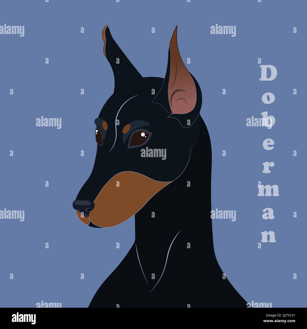 Dobermann. Drucken Sie mit schönen Hund mit Hintergrund Stock Vektor