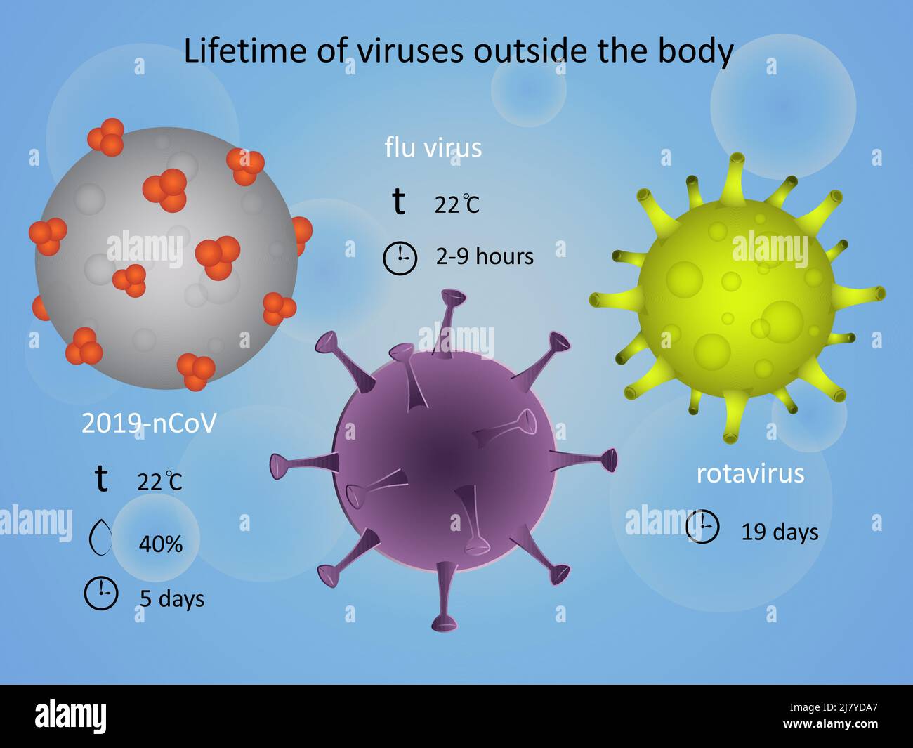 Lebensdauer von Viren außerhalb des Körpers. Infektion. Stock Vektor