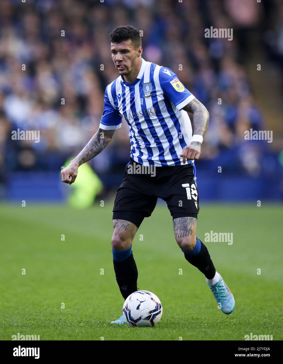 Sheffield, England, 9.. Mai 2022. Marvin Johnson von Sheffield am Mittwoch während des Spiels der Sky Bet League 1 in Hillsborough, Sheffield. Bildnachweis sollte lauten: Isaac Parkin / Sportimage Stockfoto