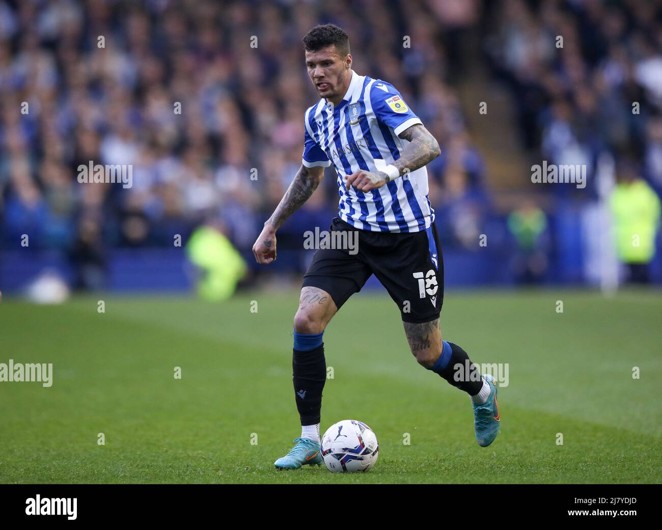 Sheffield, England, 9.. Mai 2022. Marvin Johnson von Sheffield am Mittwoch während des Spiels der Sky Bet League 1 in Hillsborough, Sheffield. Bildnachweis sollte lauten: Isaac Parkin / Sportimage Stockfoto