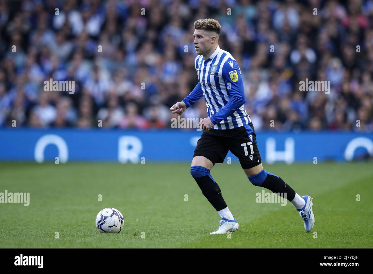 Sheffield, England, 9.. Mai 2022. Josh Windass von Sheffield am Mittwoch während des Spiels der Sky Bet League 1 in Hillsborough, Sheffield. Bildnachweis sollte lauten: Isaac Parkin / Sportimage Stockfoto