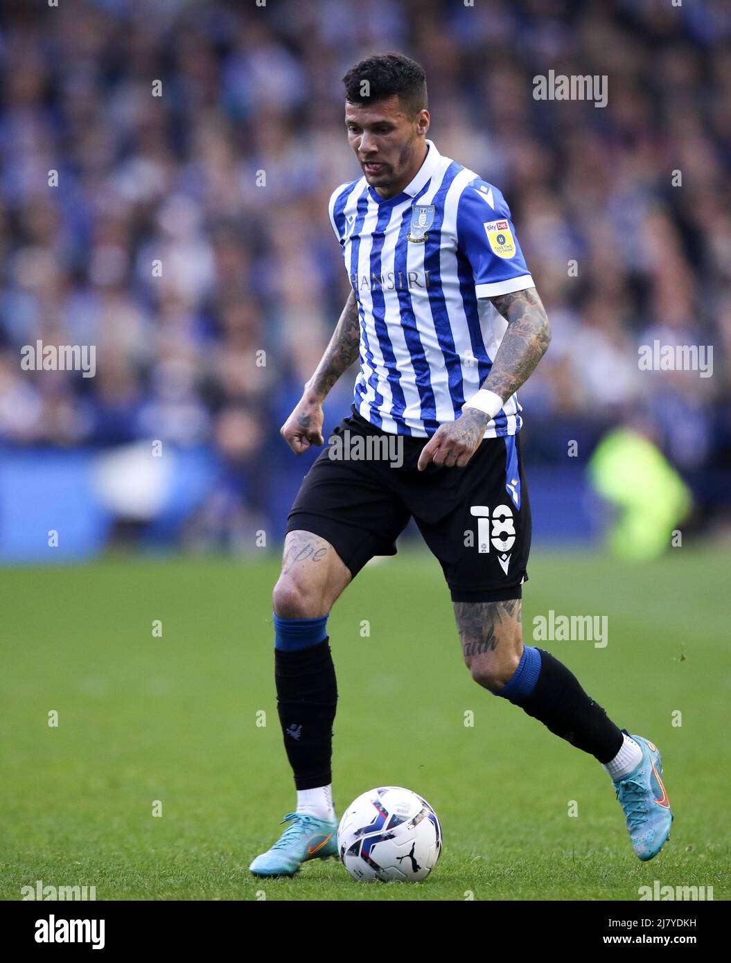 Sheffield, England, 9.. Mai 2022. Marvin Johnson von Sheffield am Mittwoch während des Spiels der Sky Bet League 1 in Hillsborough, Sheffield. Bildnachweis sollte lauten: Isaac Parkin / Sportimage Stockfoto