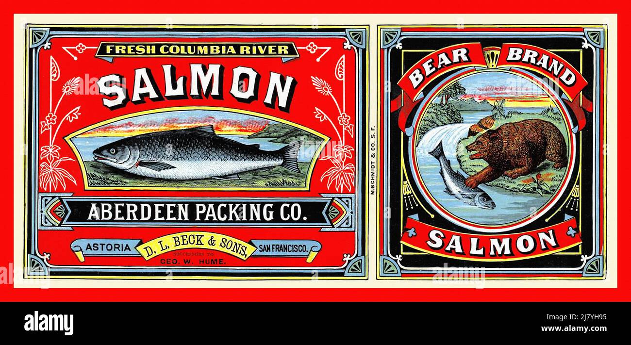 Bärenmarke Salmon Stockfoto