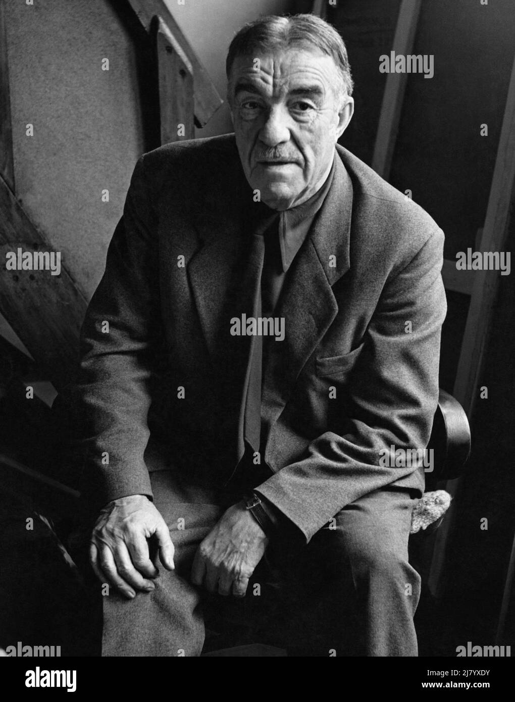 Fernand Léger Stockfoto