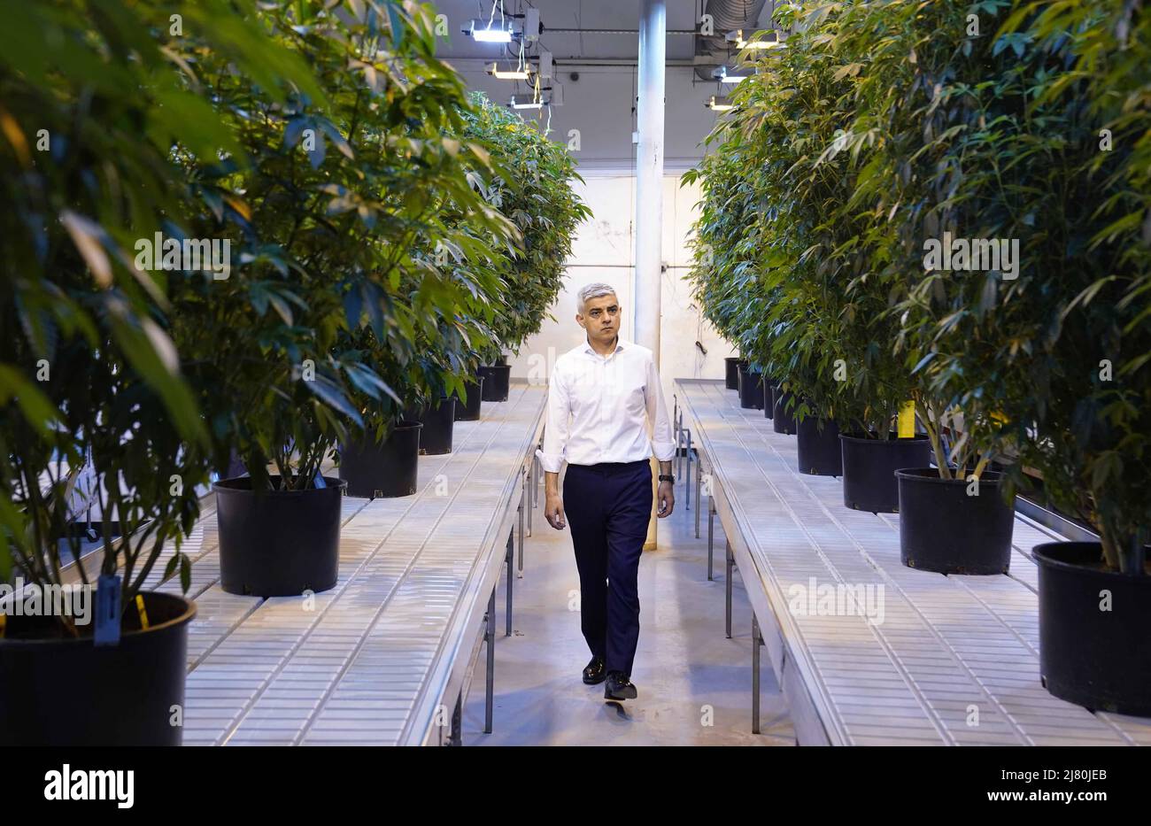 Der Bürgermeister von London Sadiq Khan bei Traditional, einem lizenzierten Cannabisanbauunternehmen in Los Angeles, während eines Besuchs in den USA, um die Londoner Tourismusindustrie anzukurbeln. Bilddatum: Mittwoch, 11. Mai 2022. Stockfoto