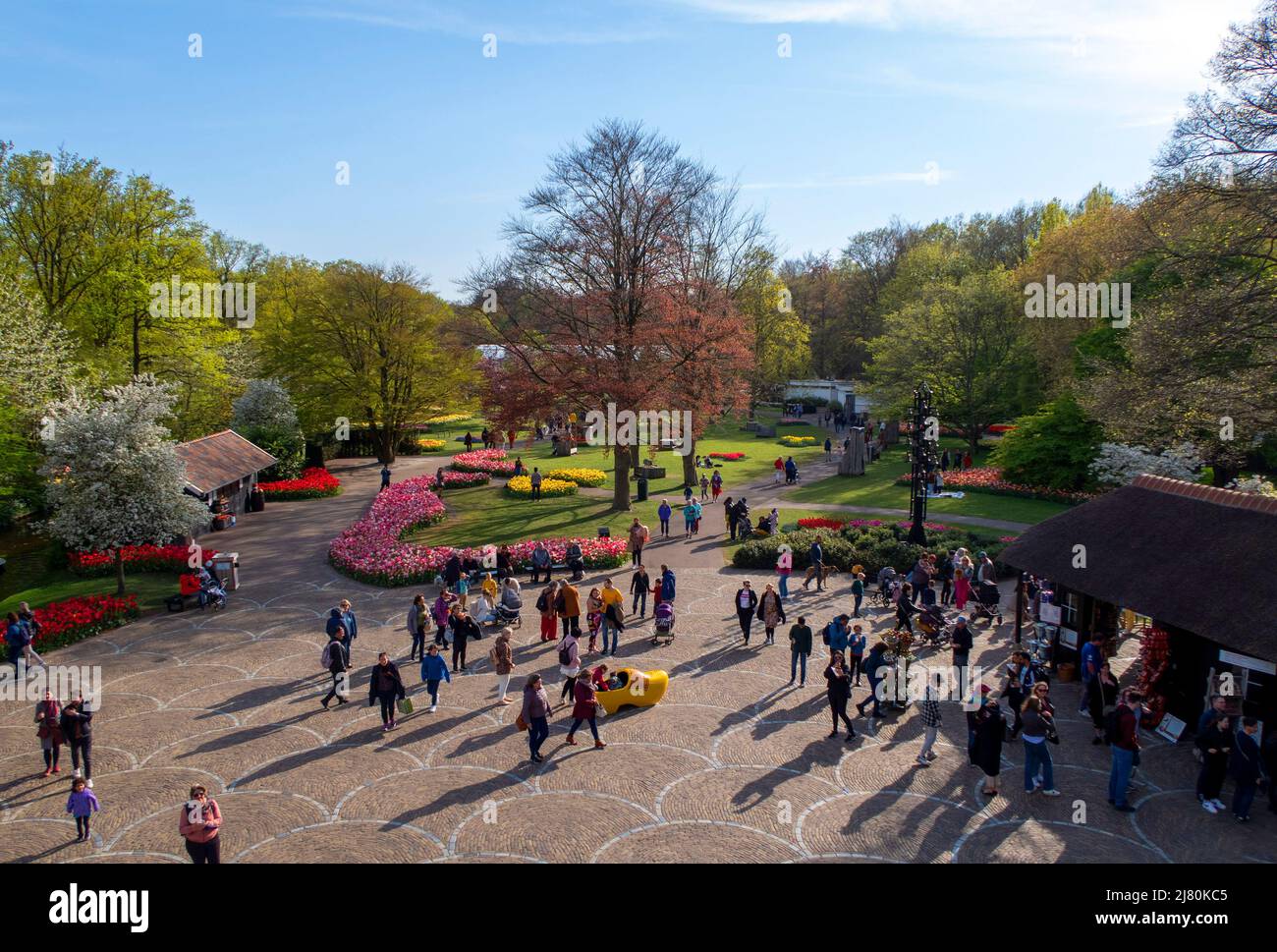 Der Keukenhof Park, auch bekannt als der Garten Europas, ist einer der größten Blumengärten der Welt und liegt in der Gemeinde Lisse in den Niederlanden Stockfoto