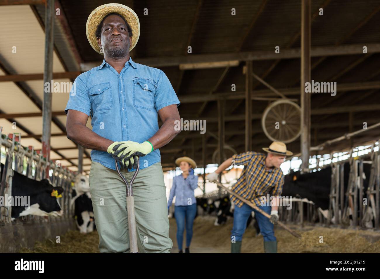 Porträt eines afroamerikanischen Bauern, der in einem Kuhstall steht Stockfoto