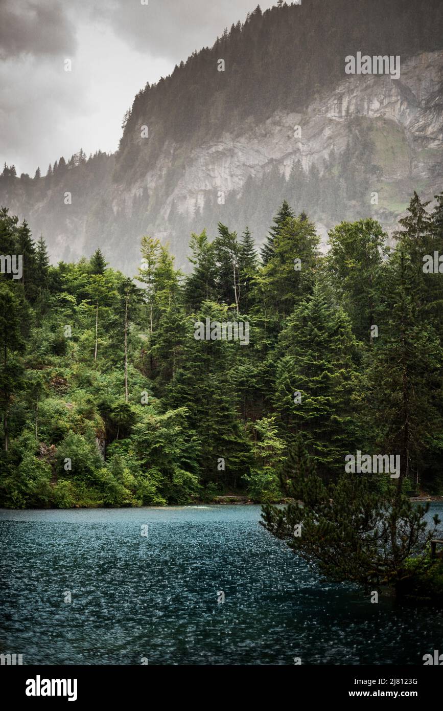 Ein romantischer Waldsee im Kandertal, schöner Blick auf Blausee ein kristallklarer kleiner See in der Schweiz, Berner Alpen, Kandersteg, Kanton Bern, Stockfoto