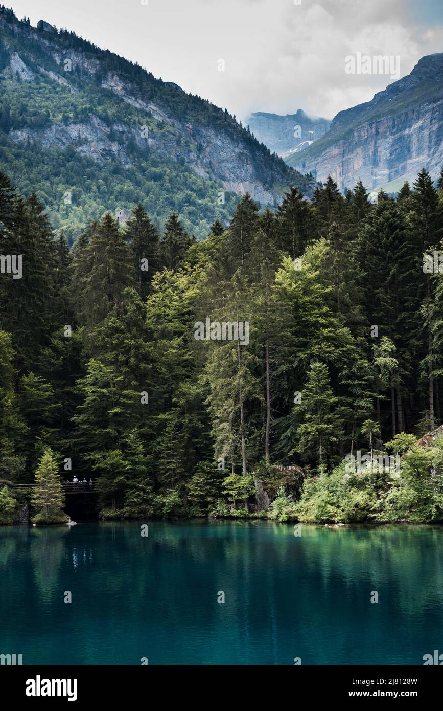 Ein romantischer Waldsee im Kandertal, schöner Blick auf Blausee ein kristallklarer kleiner See in der Schweiz, Berner Alpen, Kandersteg, Kanton Bern, Stockfoto
