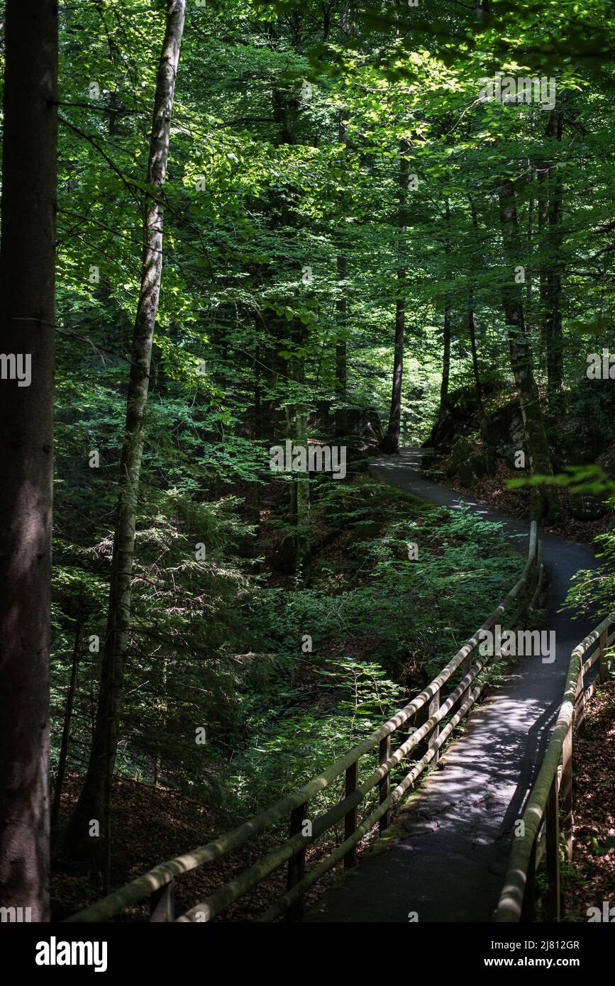 Ein romantischer Waldsee im Kandertal, schöner Blick auf Blausee ein kristallklarer kleiner See in der Schweiz, Berner Alpen, Kandersteg, Kanton Bern, Stockfoto