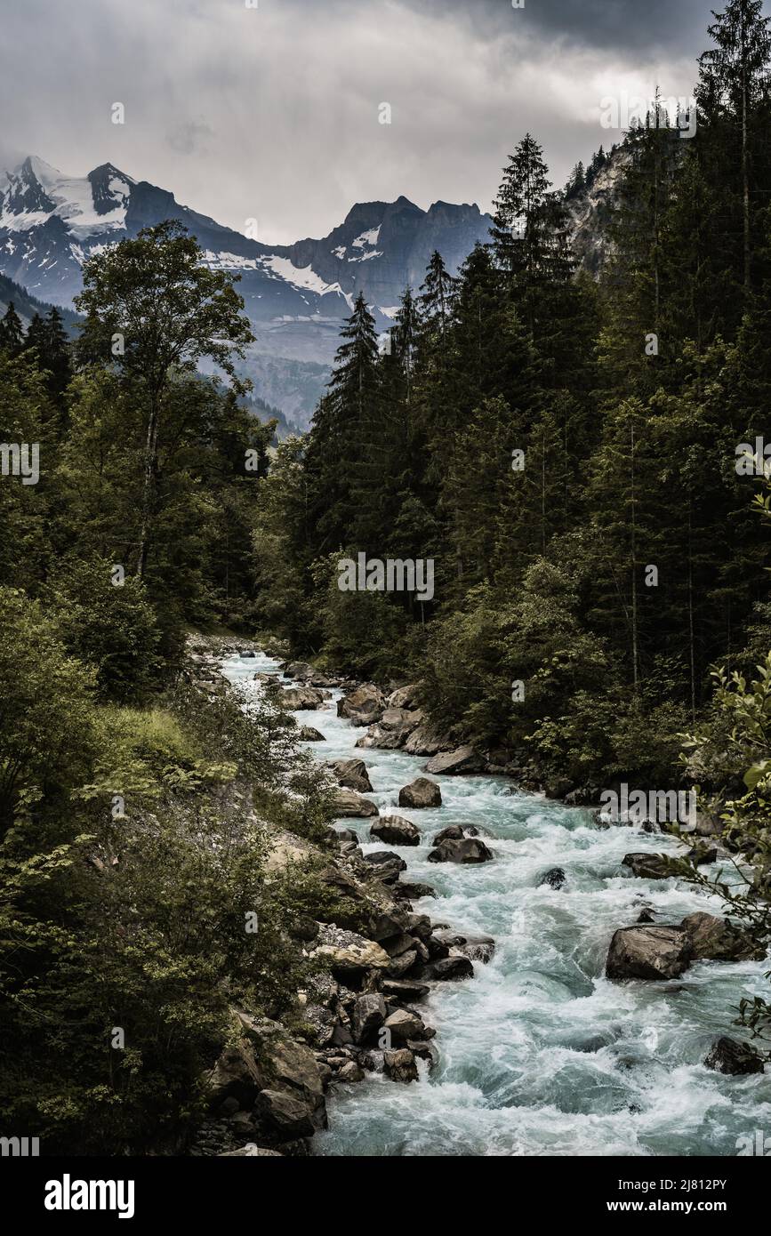 Ein romantischer Waldsee im Kandertal, schöner Blick auf Blausee ein kristallklarer kleiner See in der Schweiz, Berner Alpen, Kandersteg, Kanton Bern, Stockfoto