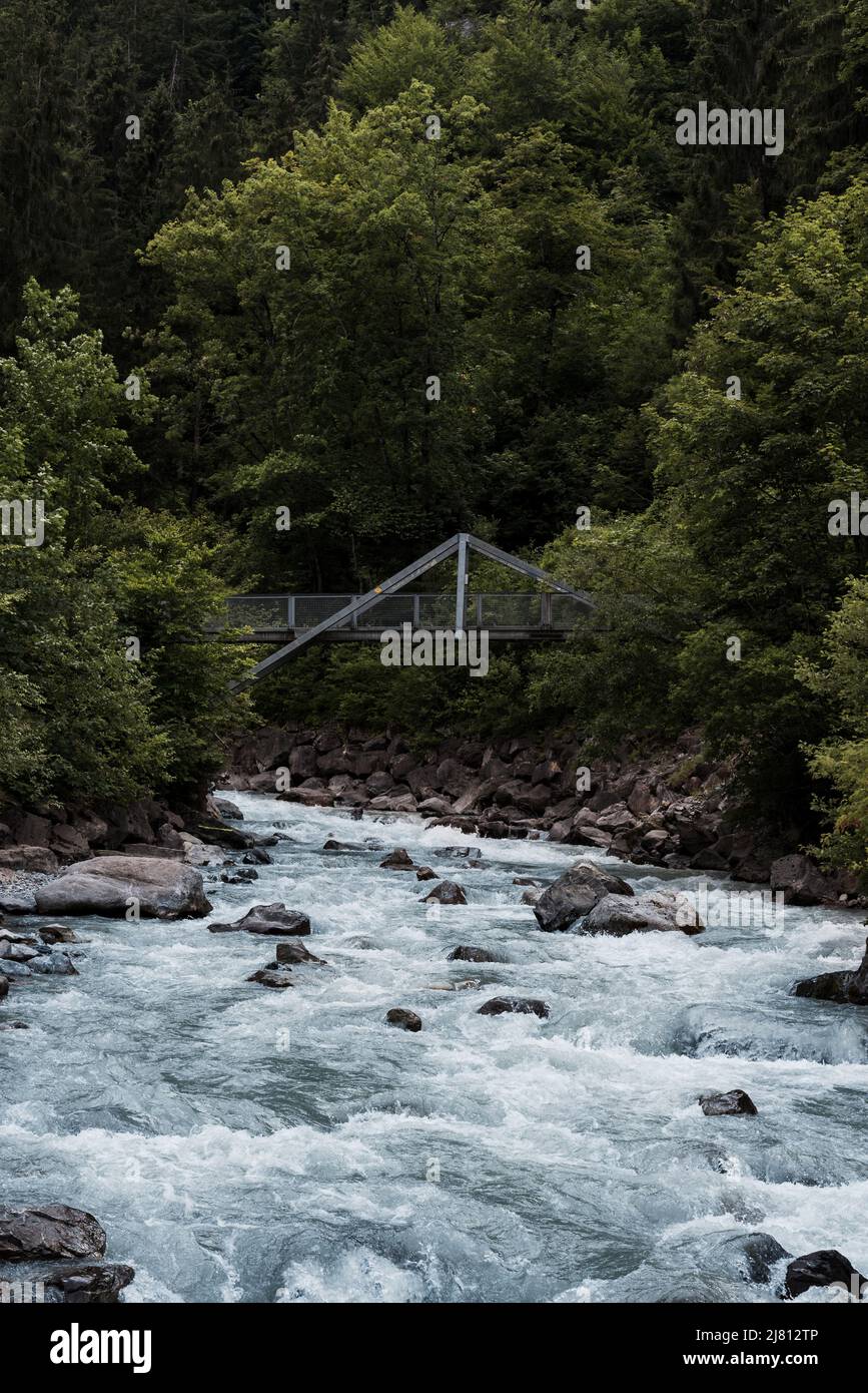 Ein romantischer Waldsee im Kandertal, schöner Blick auf Blausee ein kristallklarer kleiner See in der Schweiz, Berner Alpen, Kandersteg, Kanton Bern, Stockfoto