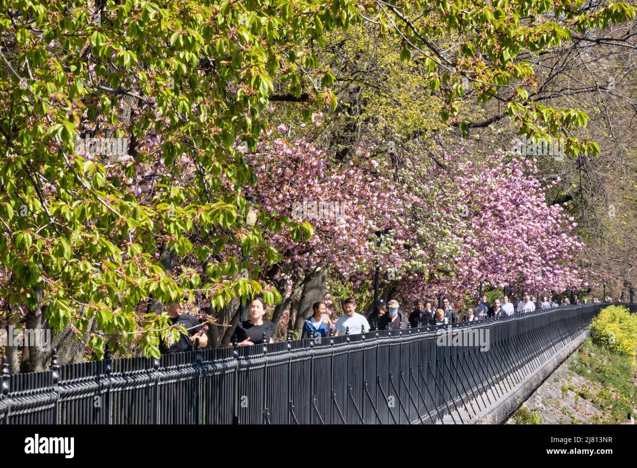 Die Laufstrecke rund um das Jacqueline Kennedy Onassis Reservoir ist während der Frühjahrssaison in NYC, USA 2022, ein wunderschönes Ziel im Central Park Stockfoto