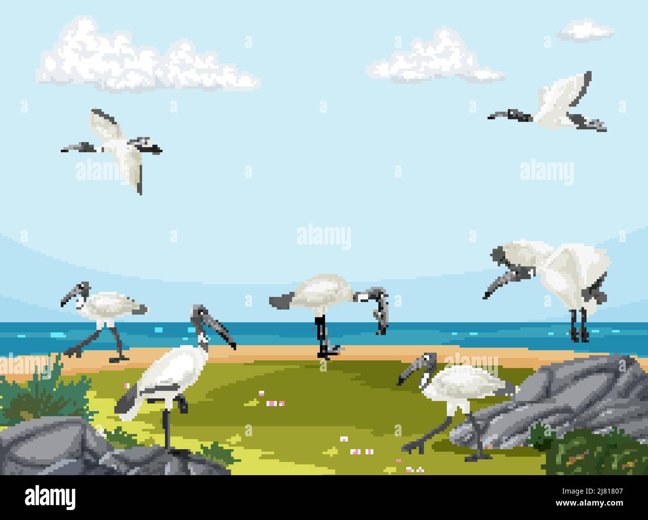 Australische weiße Ibis-Gruppe in Feuchtgebiet Landschaft Illustration Stock Vektor