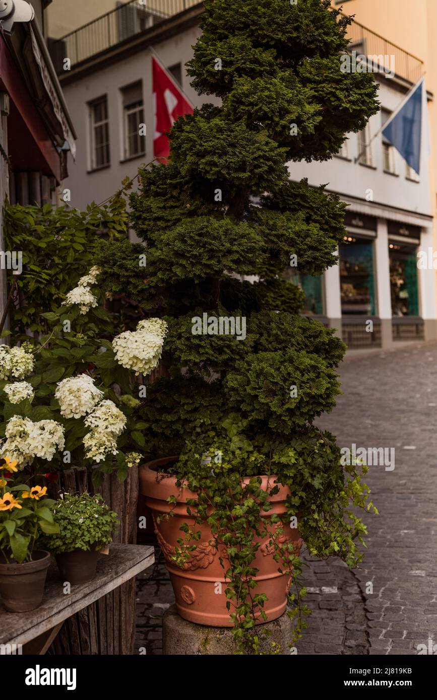 Zürich Schweiz. 7. Juli 2018 Blumengeschäft in der alten Straße in Zürich. Straße mit Fahnen geschmückt. Stockfoto