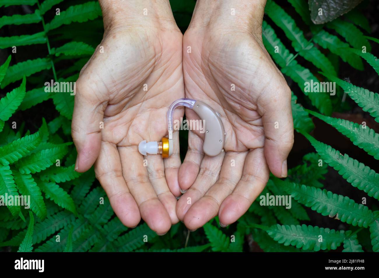 Elektronisches Hörgerät im Ohr eines alten asiatischen Mannes mit totaler Taubheit. Stockfoto