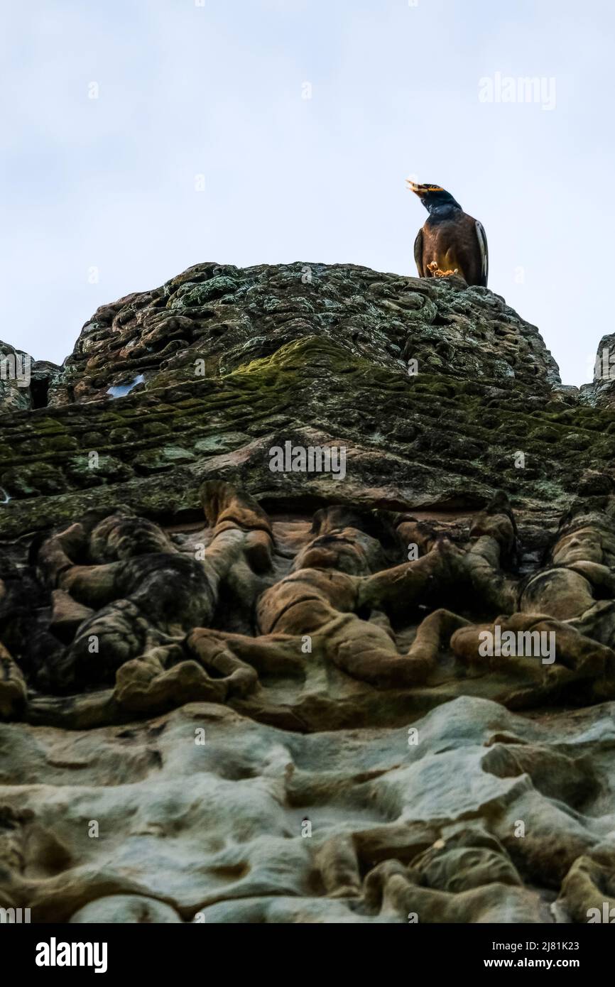 Kambodschanischer Tempel Budda Saint Stockfoto