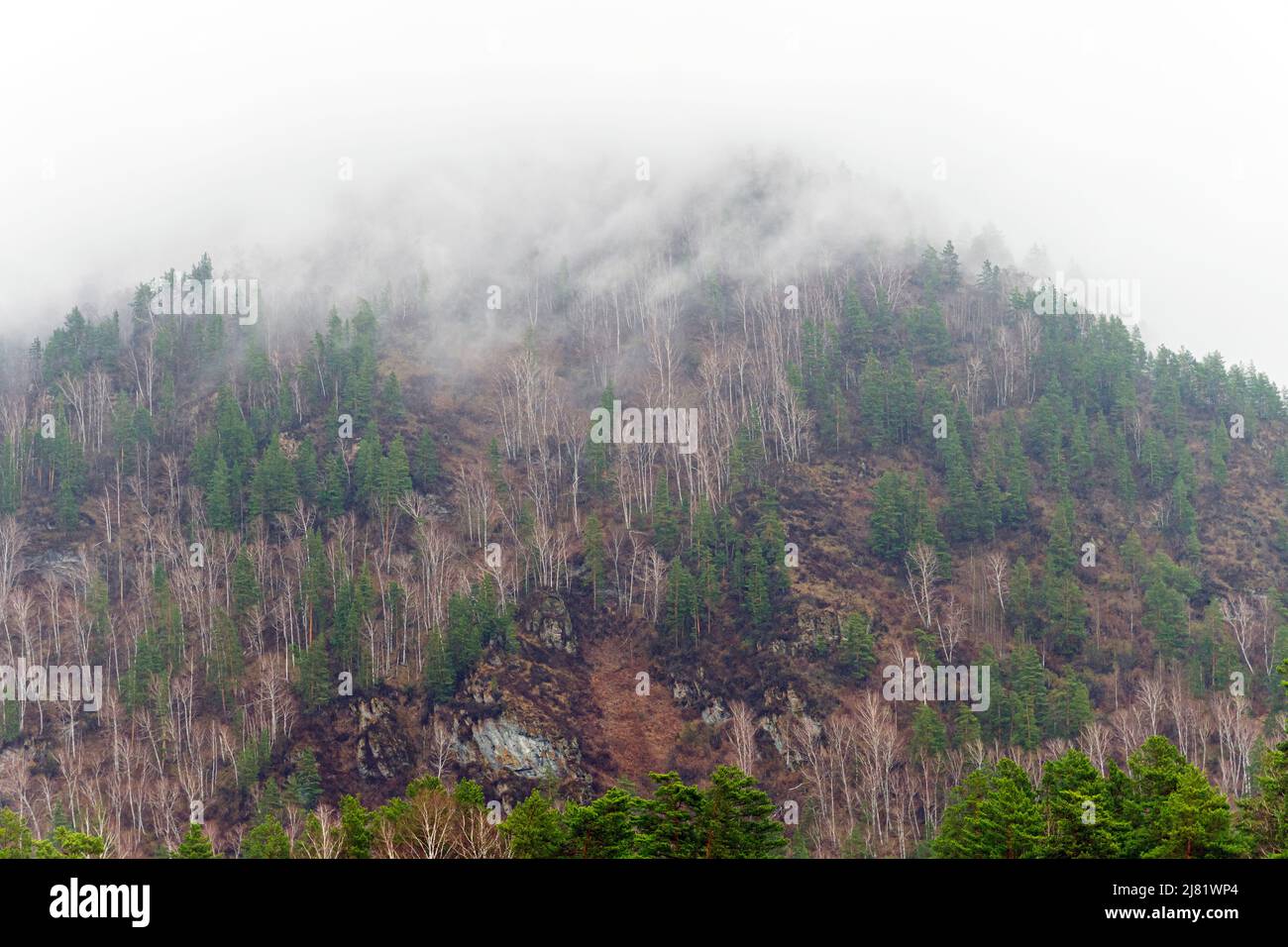 Neblige Herbstlandschaft im Bergtal. Dramatische, malerische Morgenszene. Stockfoto