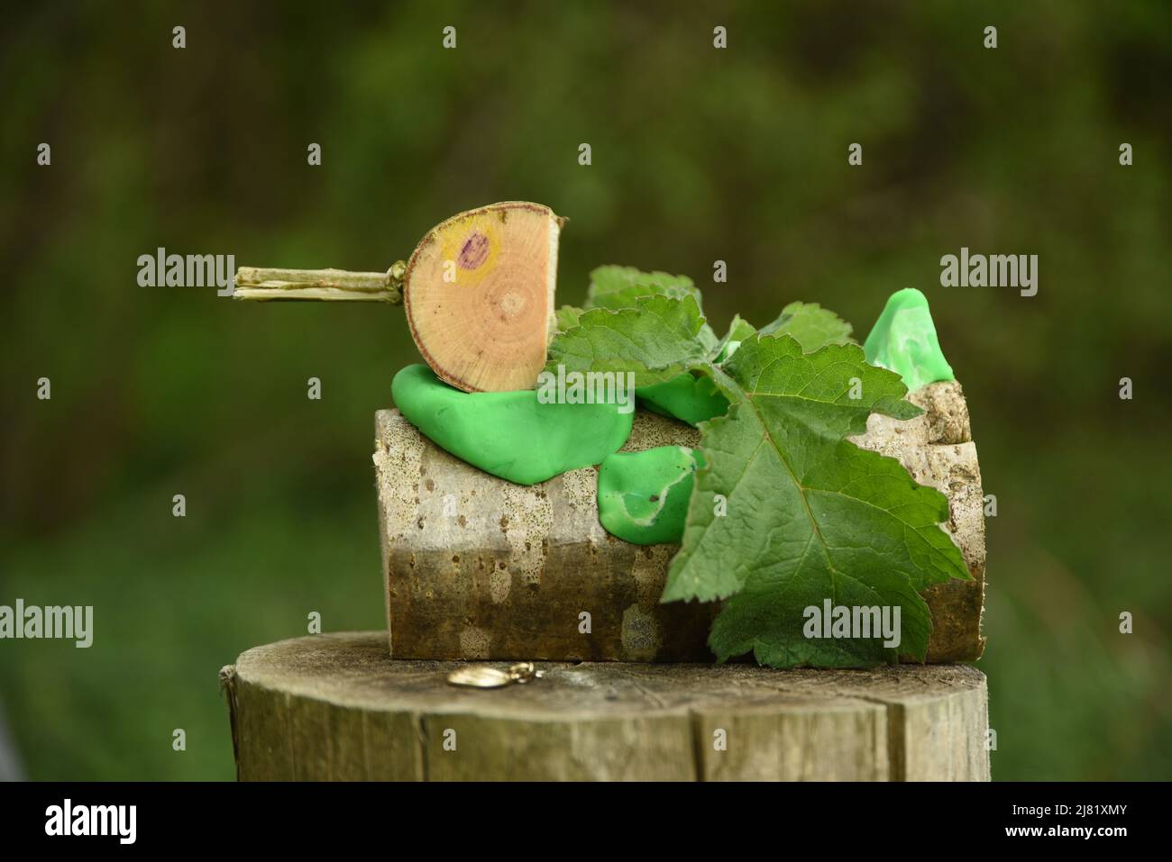 Holzente Stockfoto