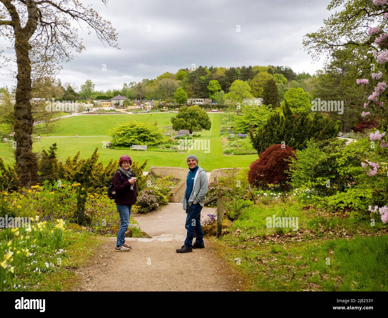 Ein Paar in Harlow Carr Gardens, Harrogate, Yorkshire, Großbritannien. Stockfoto