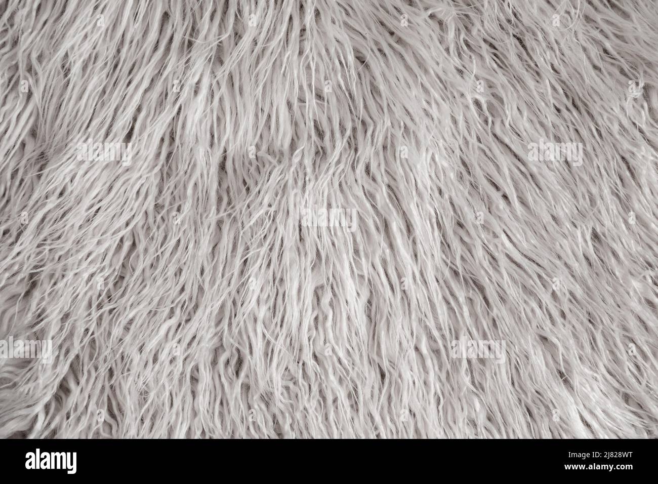 Langes flauschiges Fell in neutralem Lichtzustand als Hintergrundtapete Stockfoto
