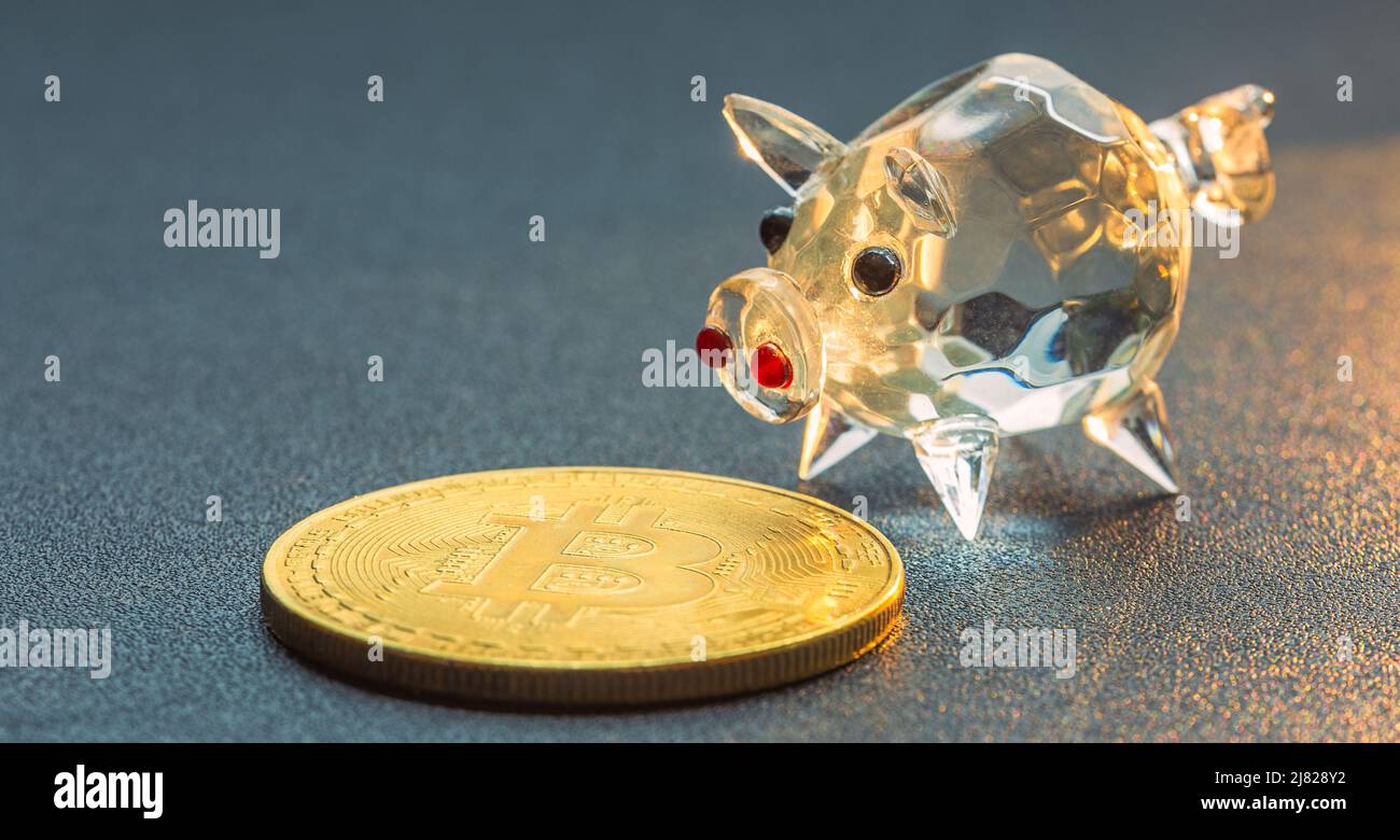 Sparkonzept für Bitcoin und Sparschwein, Hintergrund mit Bitcoin Stockfoto
