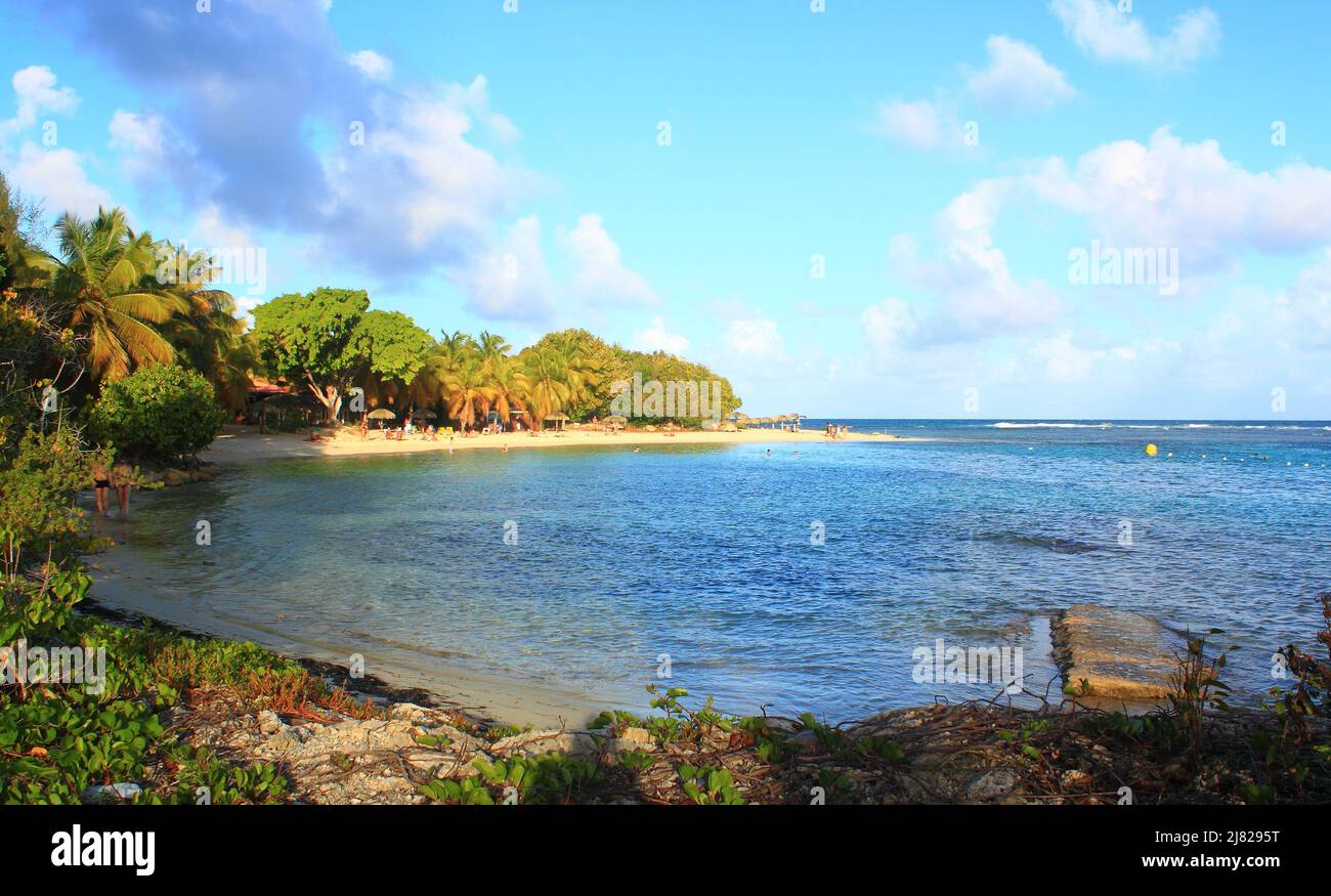 Strand Anse des Rochers, Saint-François, Guadeloupe Stockfoto