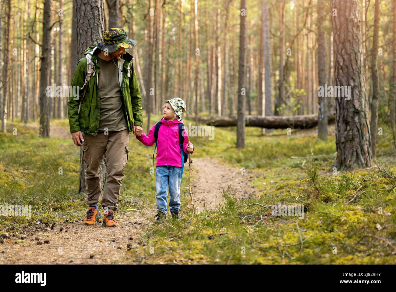 Vater und Tochter wandern gemeinsam im Wald. Bindungsaktivitäten Stockfoto