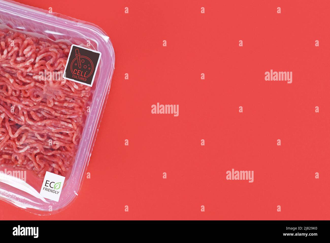 Zellkultiviertes, im Labor gewachsenes Fleischkonzept für die künstliche in-vitro-Produktion mit verpacktem rohem Hackfleisch auf der Seite des roten Hintergrunds Stockfoto