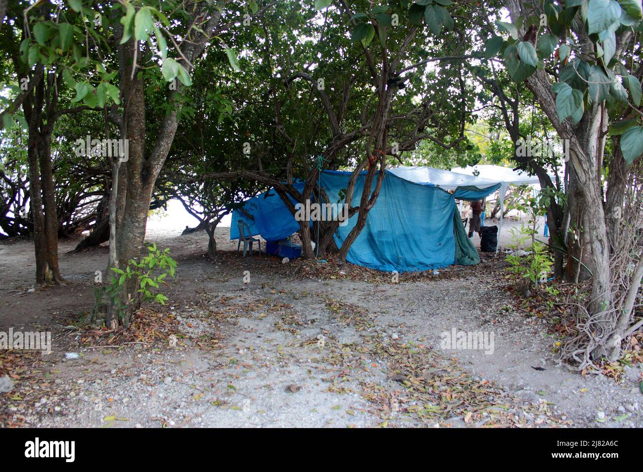 Tente près de la Plage, Guadeloupe Stockfoto