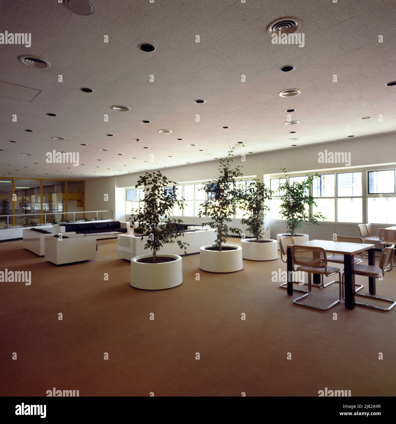 Leeres Büro mit Möbeln und Topfpflanzen Stockfoto