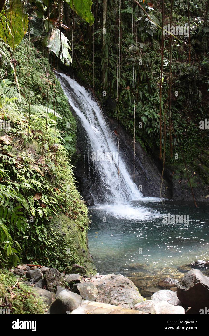 Cascade aux Ecrevisses, Petit-Bourg, Guadeloupe Stockfoto